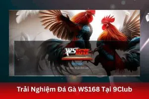 ảnh đại diện Trải Nghiệm Đá Gà WS168 Tại 9Club