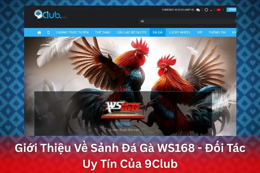 Giới Thiệu Về Sảnh Đá Gà WS168 - Đối Tác Uy Tín Của 9Club